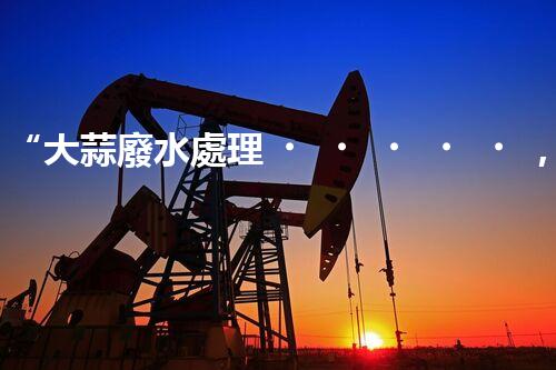 “大蒜廢水處理，綠色環(huán)保新篇章”